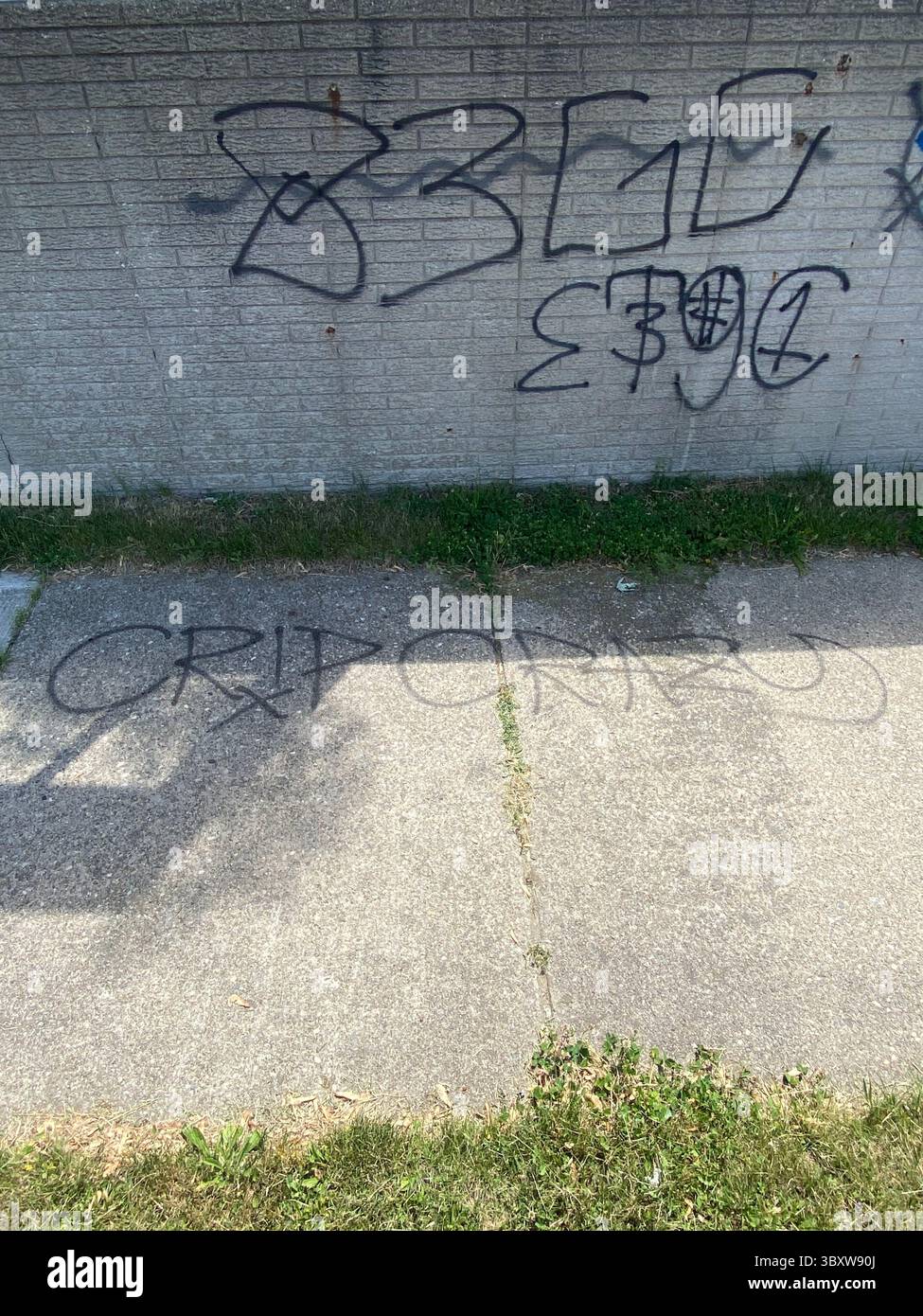 Detroit's 5PN (not aligned with the People Nation or 5X) a street alliance of multple crip cliques in the 48219 'Hyena Crips Got Control' = '83GC' - Smartphone Captured Stock Image