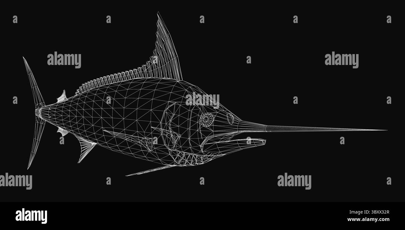 Sailfish 3D model in wireframe style, showcasing intricate details and realistic form on a sleek black background. The fish features a long, pointed b Stock Vector