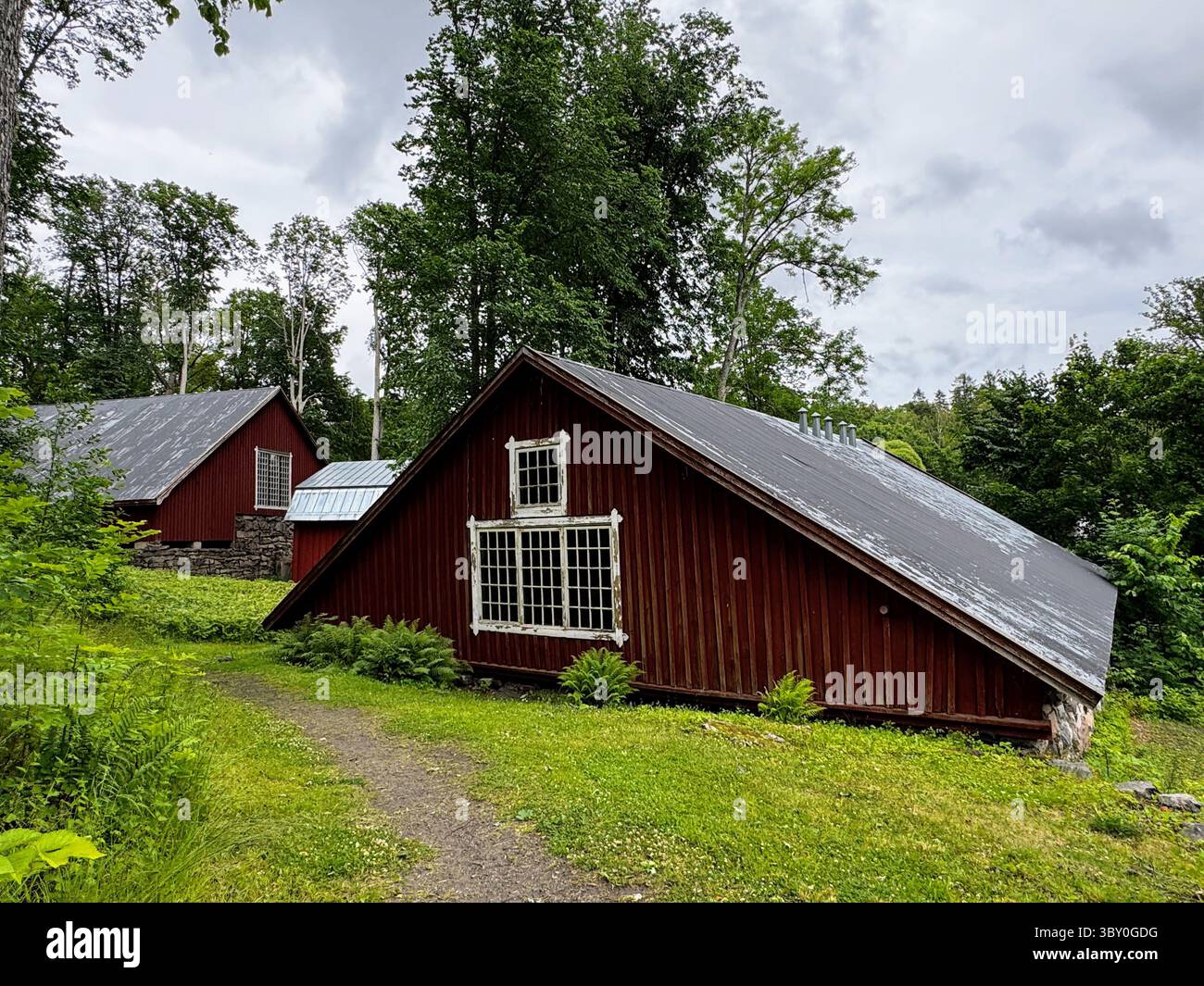 Fagervik: Side view of traditional Finnish barn with steep tin roof, lush foliage and green summer landscape around. - Smartphone Captured Stock Image