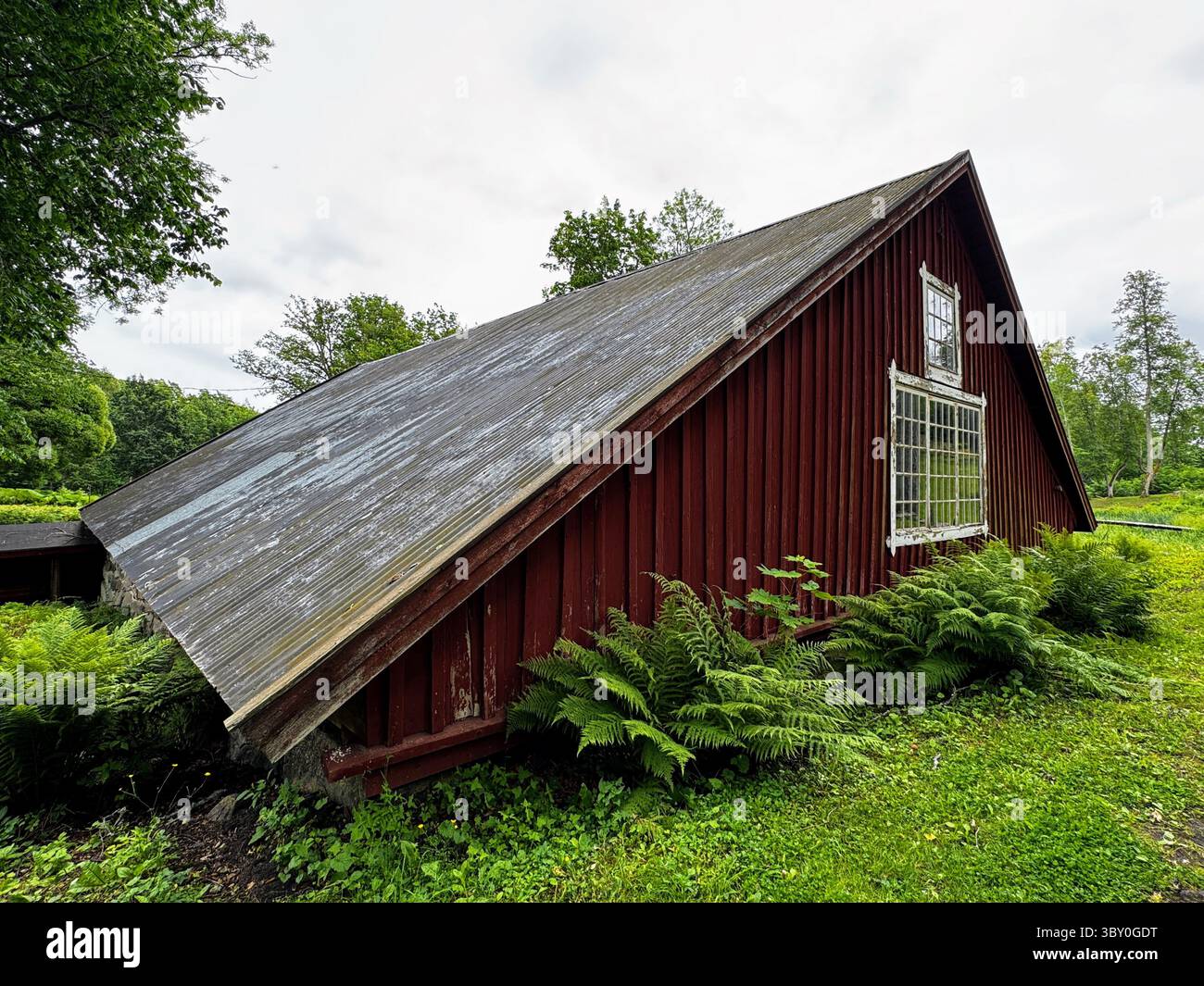 Fagervik: Old Finnish red barn with slanted roof surrounded by green meadow and trees, cloudy sky, summer countryside. - Smartphone Captured Stock Image