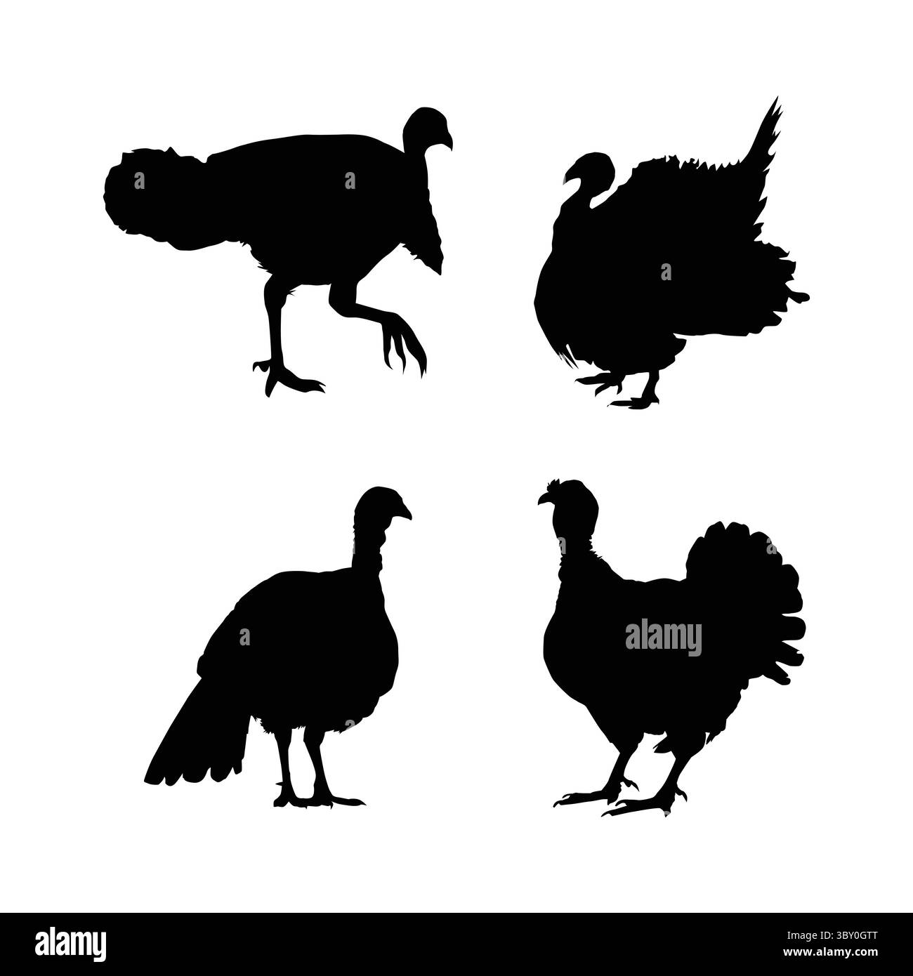 turkey birds black silhouette illustration on white background vol 01 Stock Vector