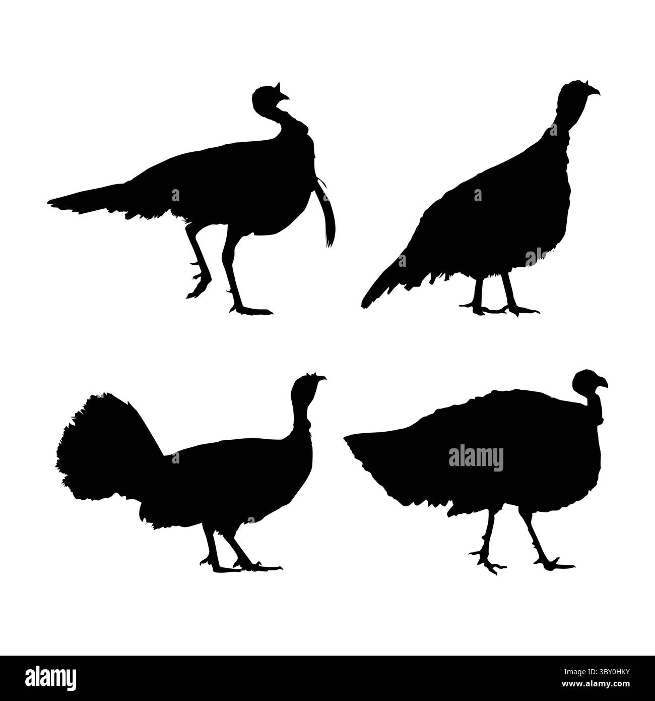 turkey birds black silhouette illustration on white background vol 02 Stock Vector