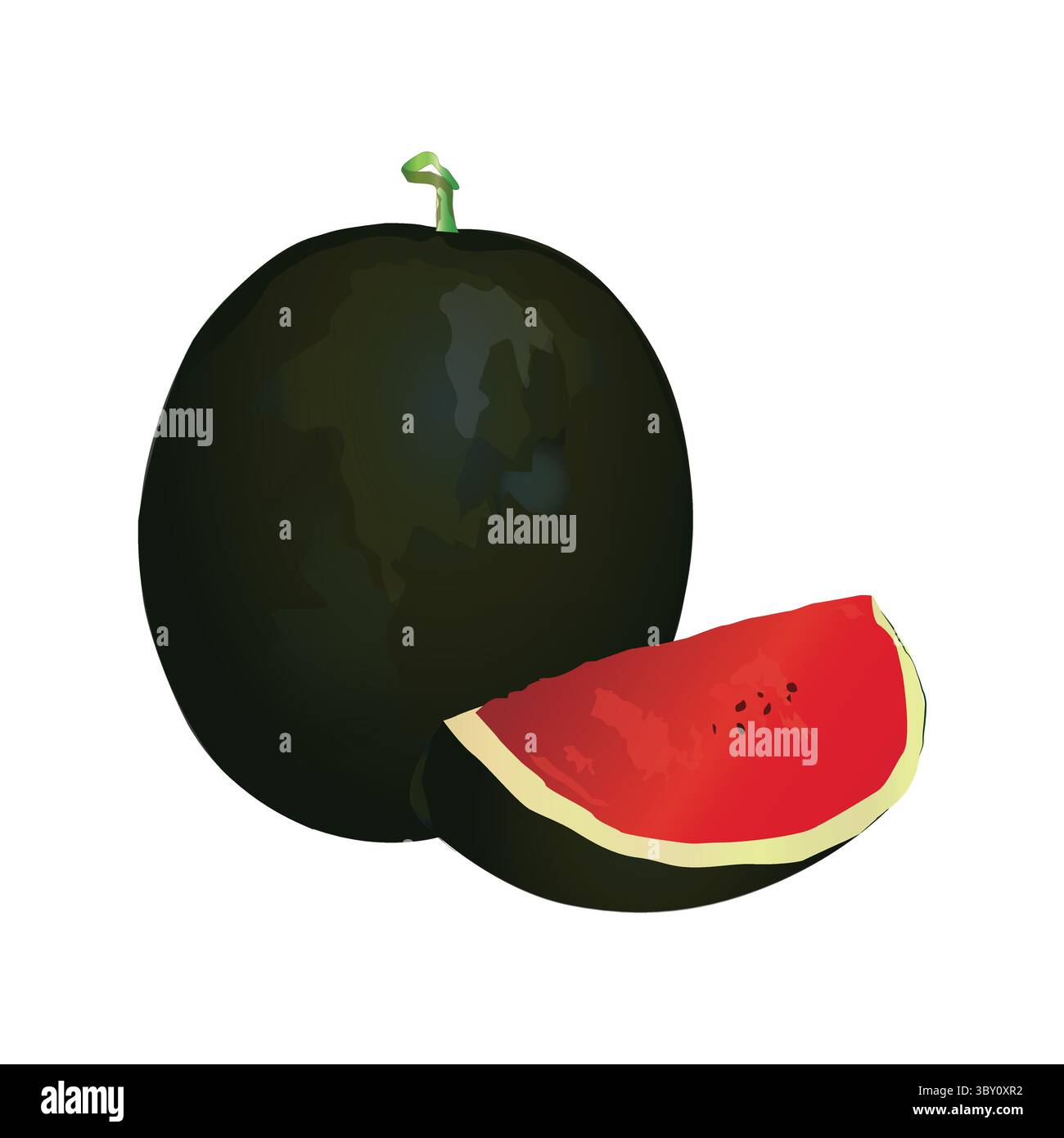 Watermelon Stock Illustrations, vector-based hand drawing on white background Vol 02 Stock Vector