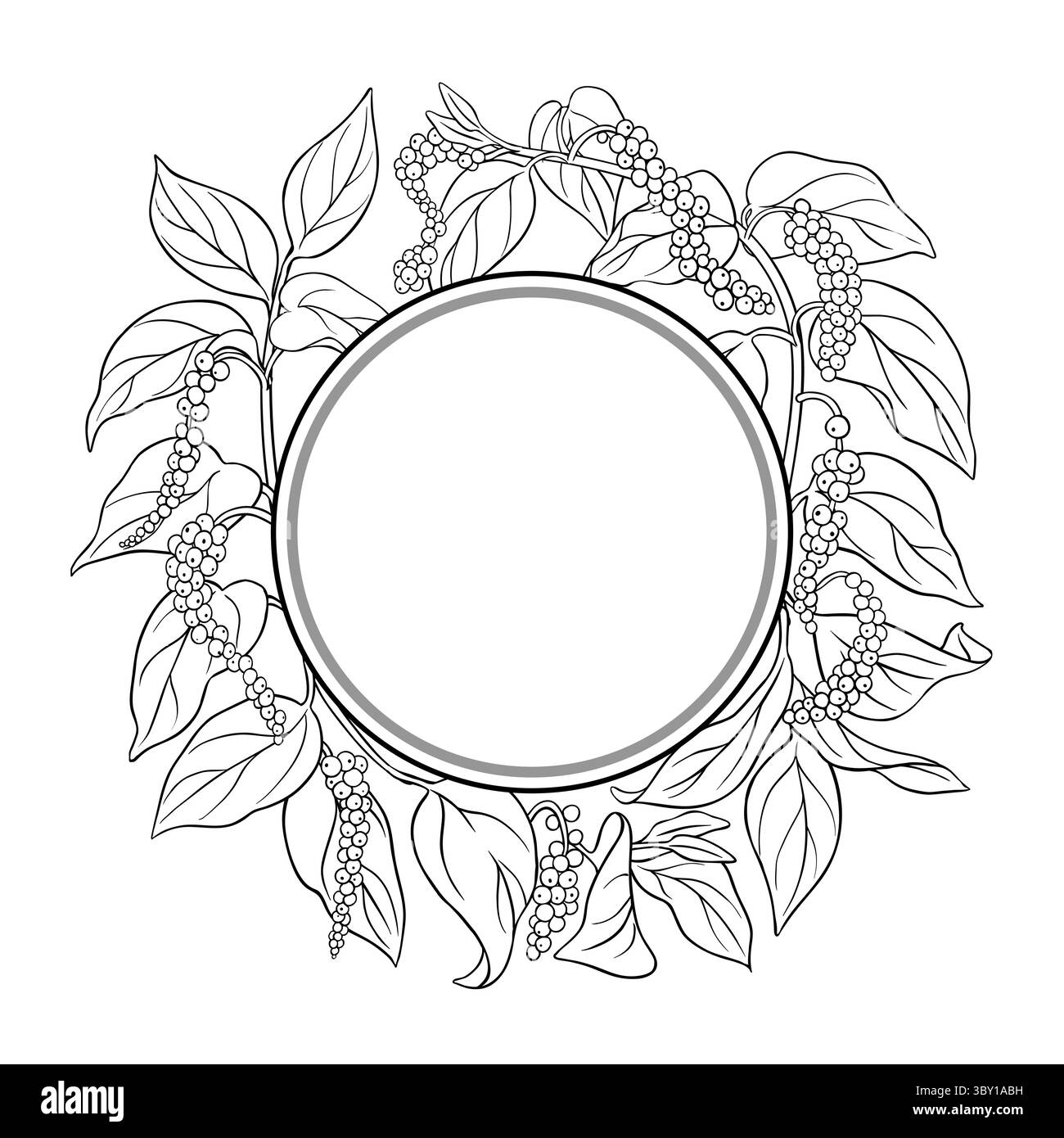 Black Pepper Outline Round Frame. Stock Vector