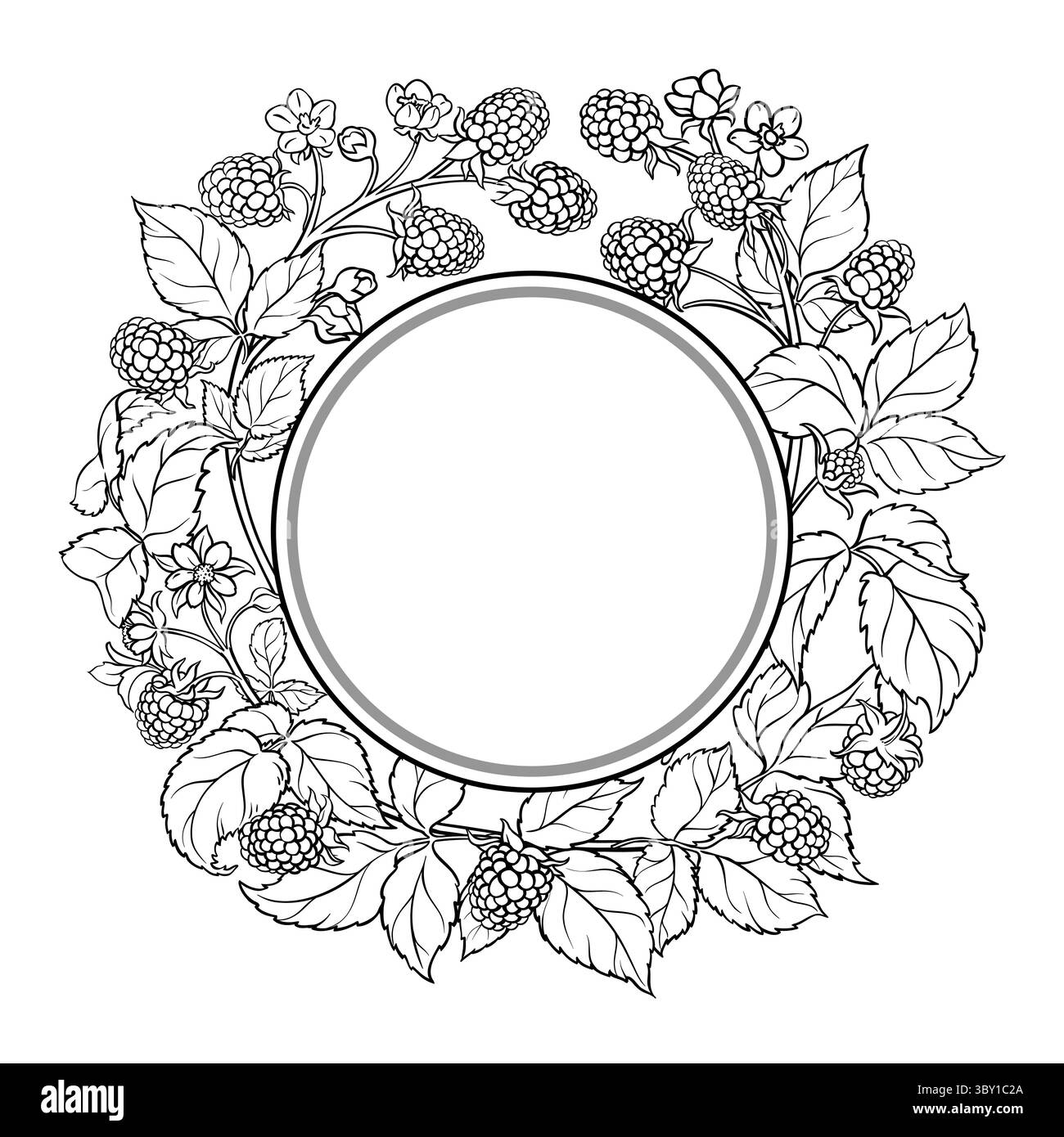 Boysenberry Branch Outline Round Frame. Stock Vector