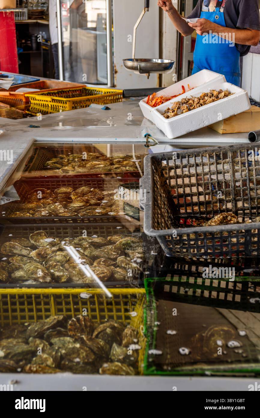 Fresh oysters and shellfish for sale at a fish market stall with the ...