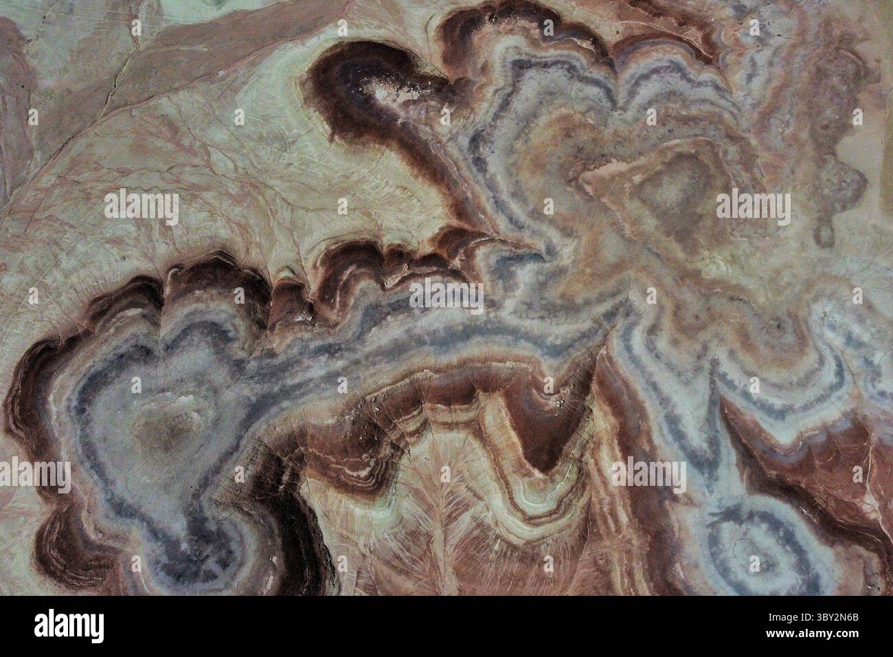 Jurassic morrison formation hi-res stock photography and images - Alamy