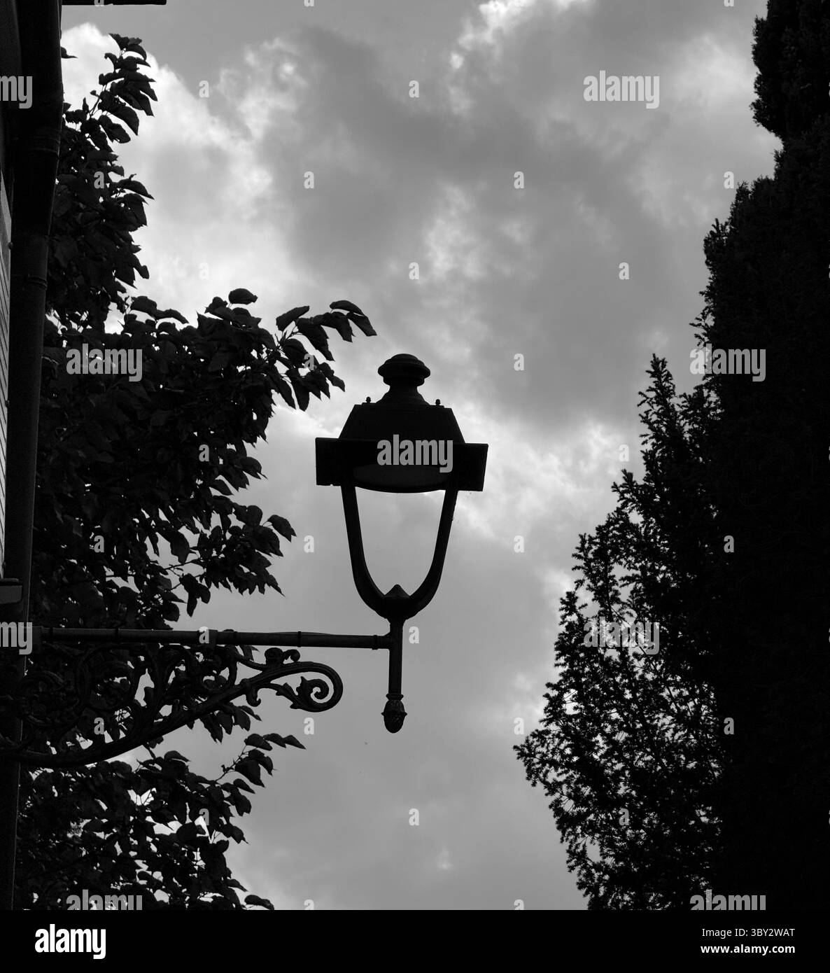 Silhouette of lamp surrounded by trees against cloudy sky. Cisano on Lake Garda Italy - Smartphone Captured Stock Image