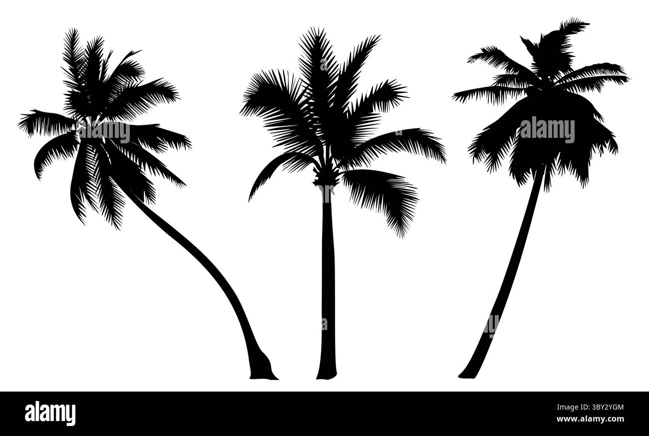 Set of palm tree silhouettes in different shapes  Stock Vector