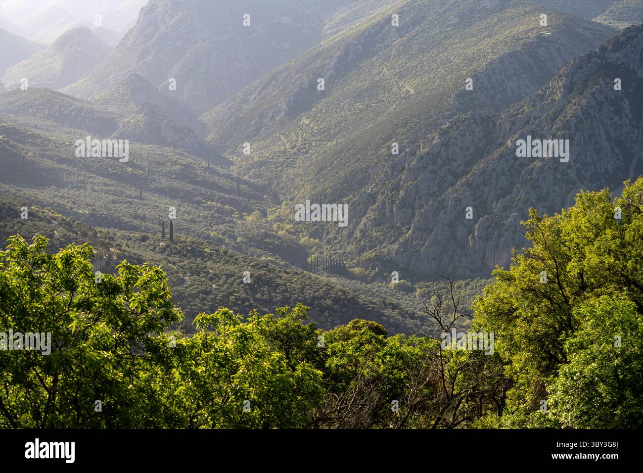 Grecian valley delphi hi-res stock photography and images - Alamy