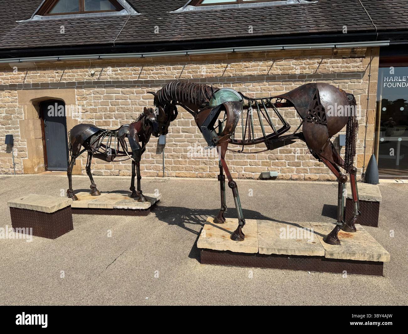 Equus Material Salved hi-res stock photography and images - Alamy