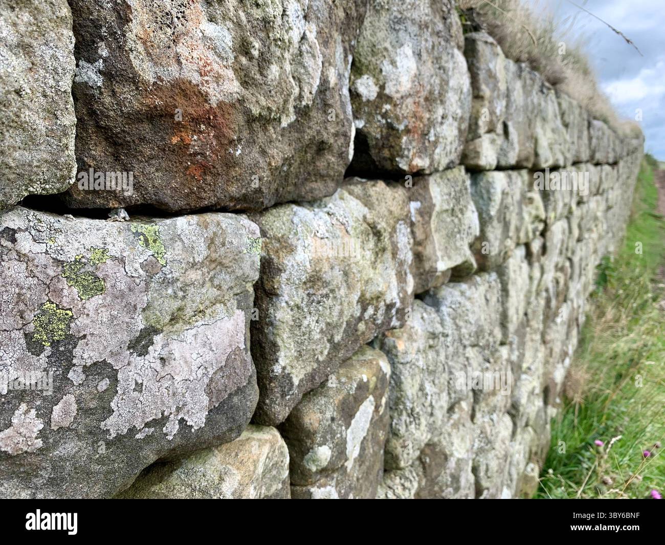 Close up of stone in Hadrian's Wall, Northumberland, UK Stock Photo - Alamy