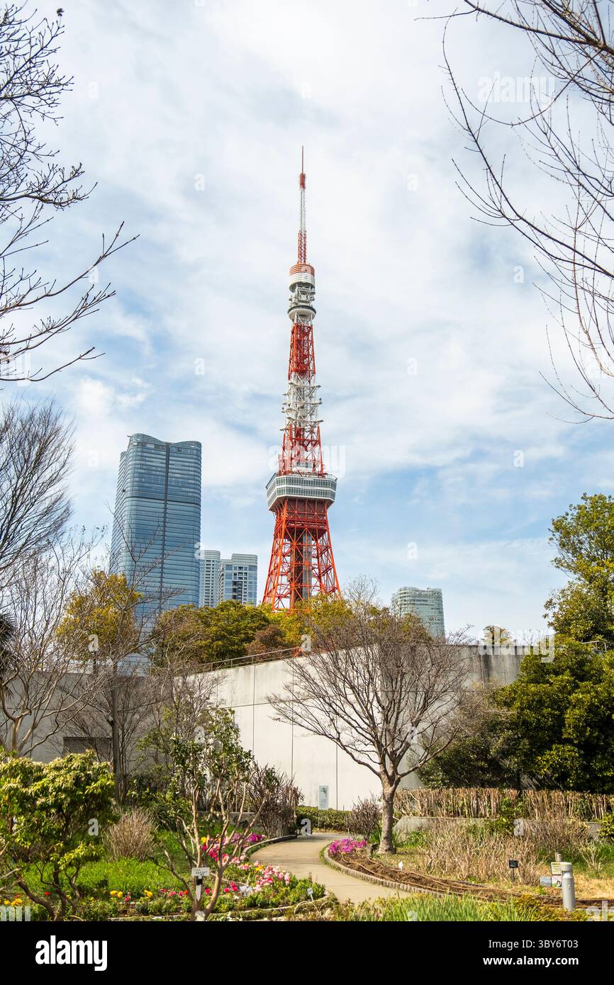 Tokyo Tower,also know as the Japan Radio Tower, seen from the Prince Chiba Park, Japan. Stock Photo