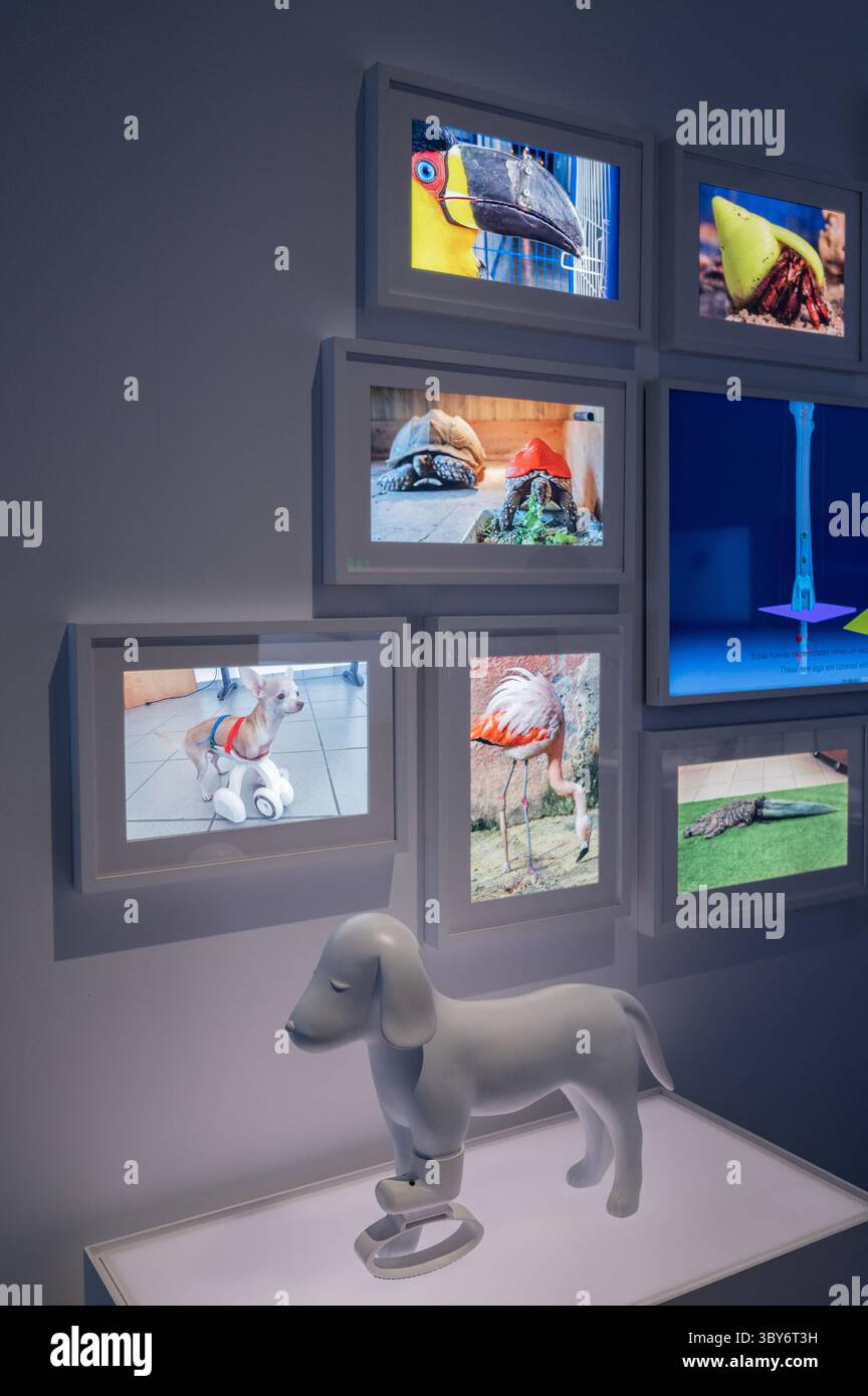 Dog 3d printed hi-res stock photography and images - Alamy