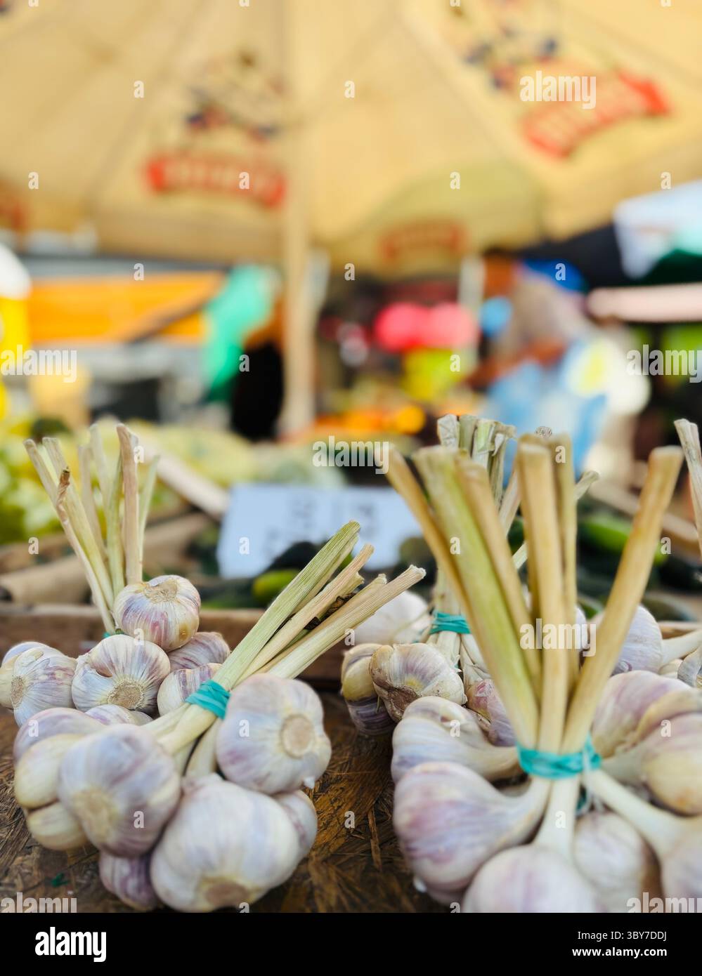 The colorful farmer's market in Kraków, Poland. - Smartphone Captured Stock Image
