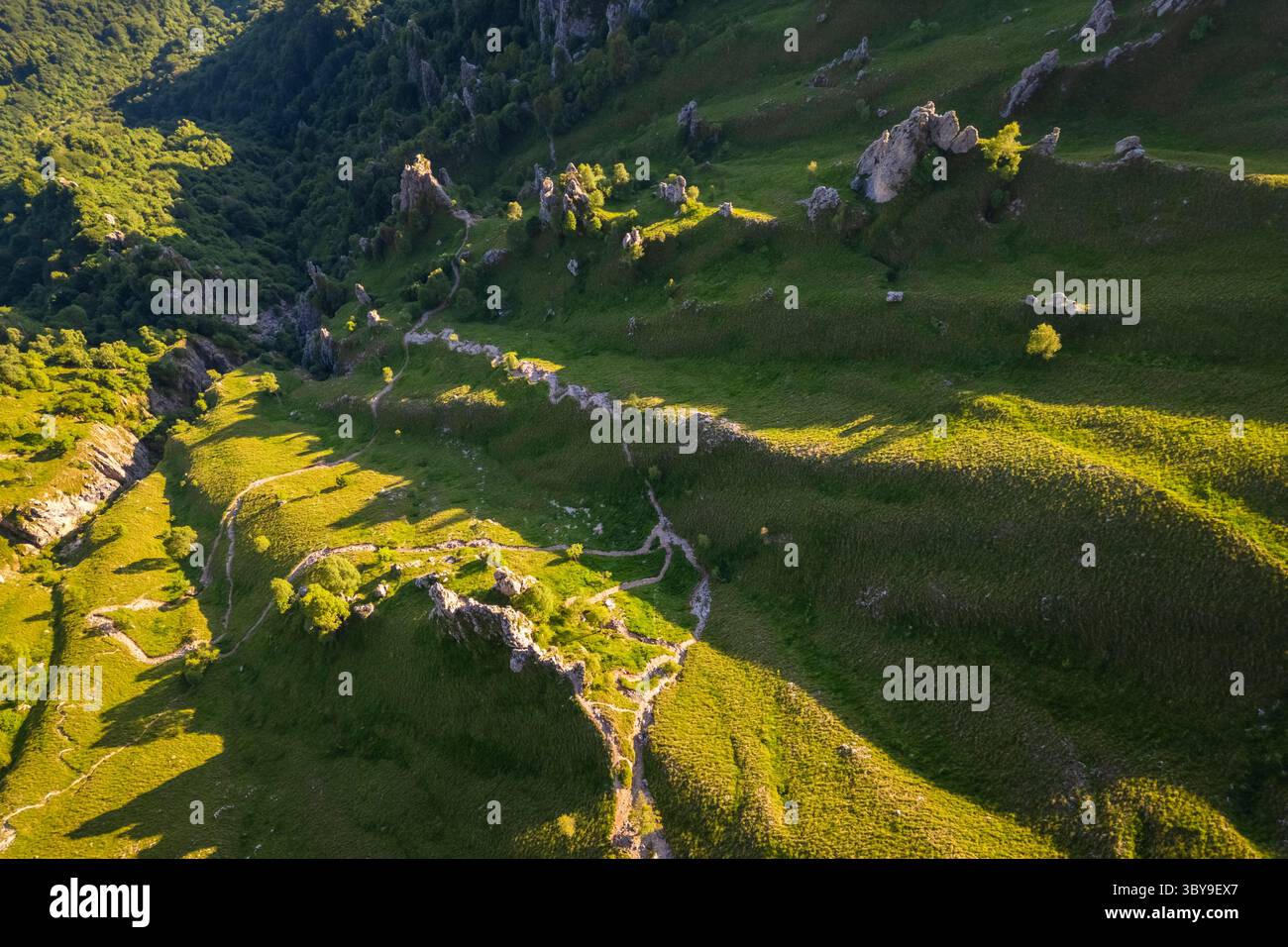 Aerial view of the side of Colle Pertusio and the valley below Rifugio Rosalba in summer. Piani Resinelli, Lecco, Lombardy, Italy. Stock Photo