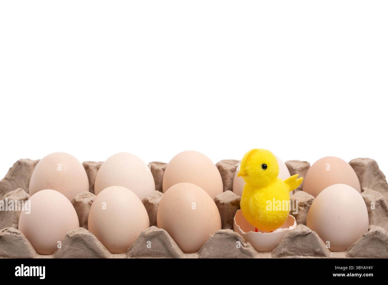 Eggs and yellow chicken isolated on white background. Easter concept Stock Photo
