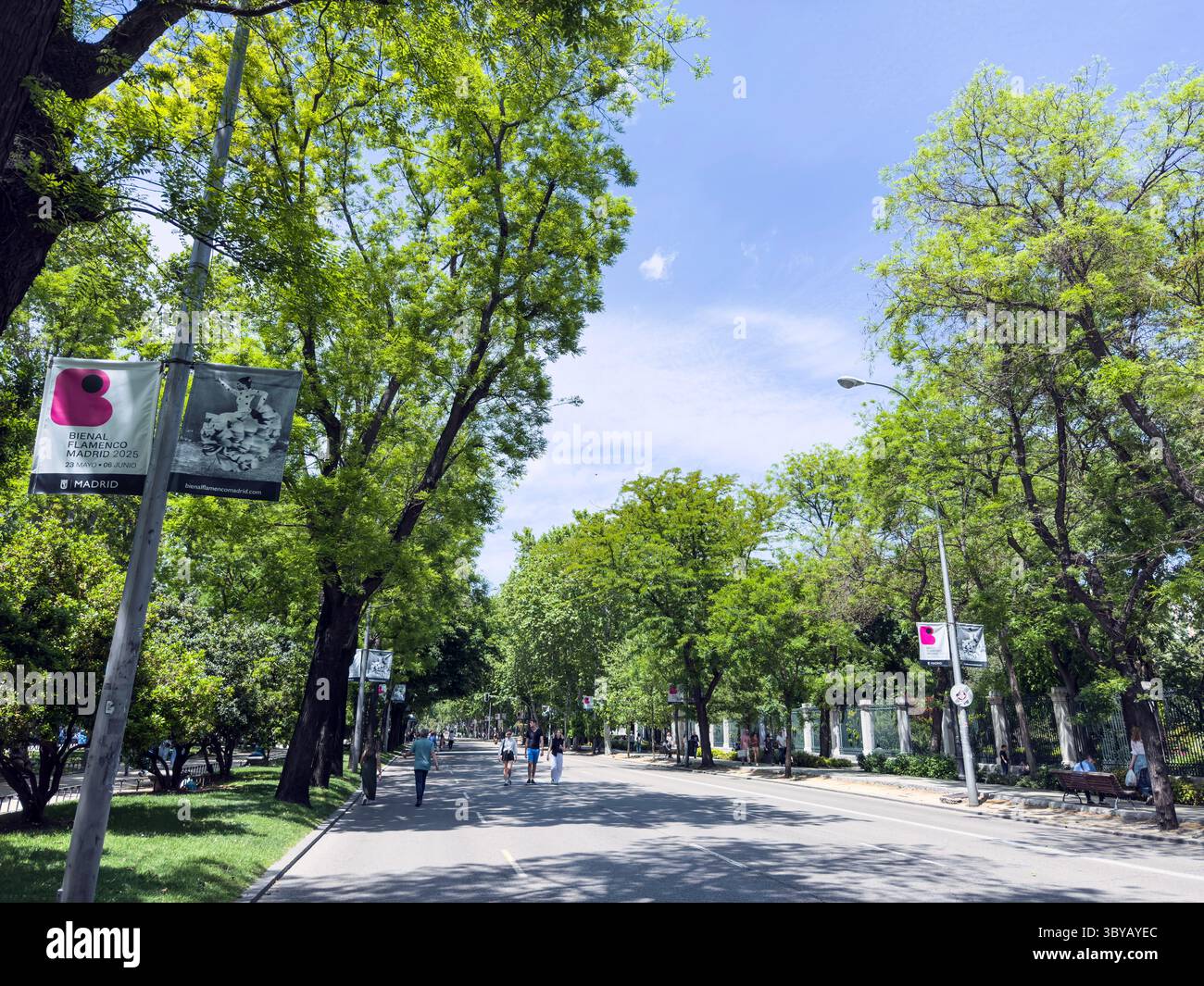 Paseo del Prado, partly, pedestrian on Sunday, Madrid, Spain - Smartphone Captured Stock Image