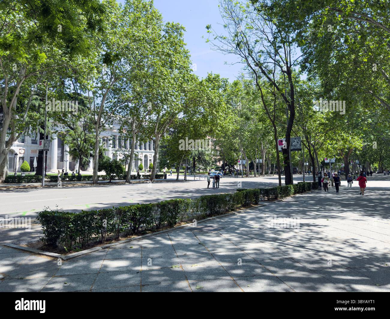 Paseo del Prado, partly, pedestrian on Sunday, Madrid, Spain - Smartphone Captured Stock Image