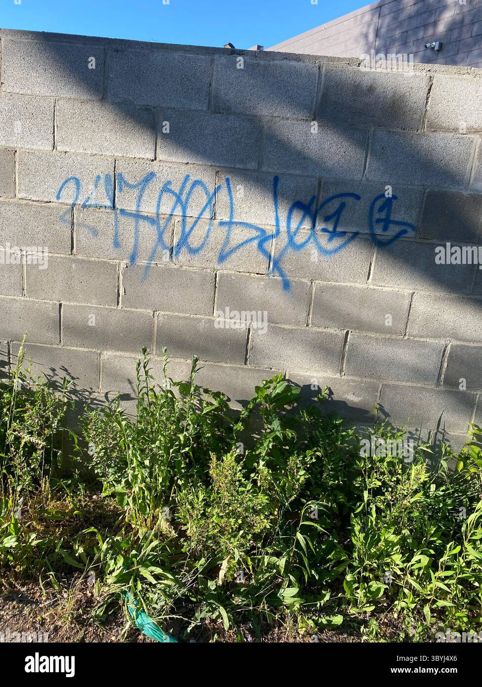 Detroit's 5PN (NOT aligned with the People Nation or 5X) a street alliance of multple crip cliques in the 48219 'Hyena Crips Got Control' = '83GC' - Smartphone Captured Stock Image