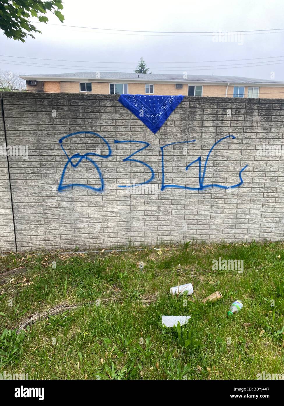 Detroit's 5PN (NOT aligned with the People Nation or 5X) a street alliance of multple crip cliques in the 48219 'Hyena Crips Got Control' = '83GC' - Smartphone Captured Stock Image