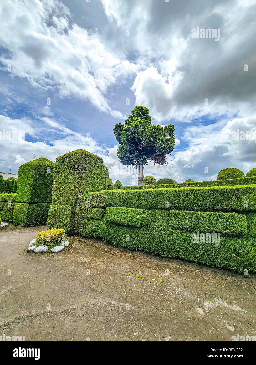 Promonient Tree A lush landscape featuring meticulously shaped hedges and a prominent ...