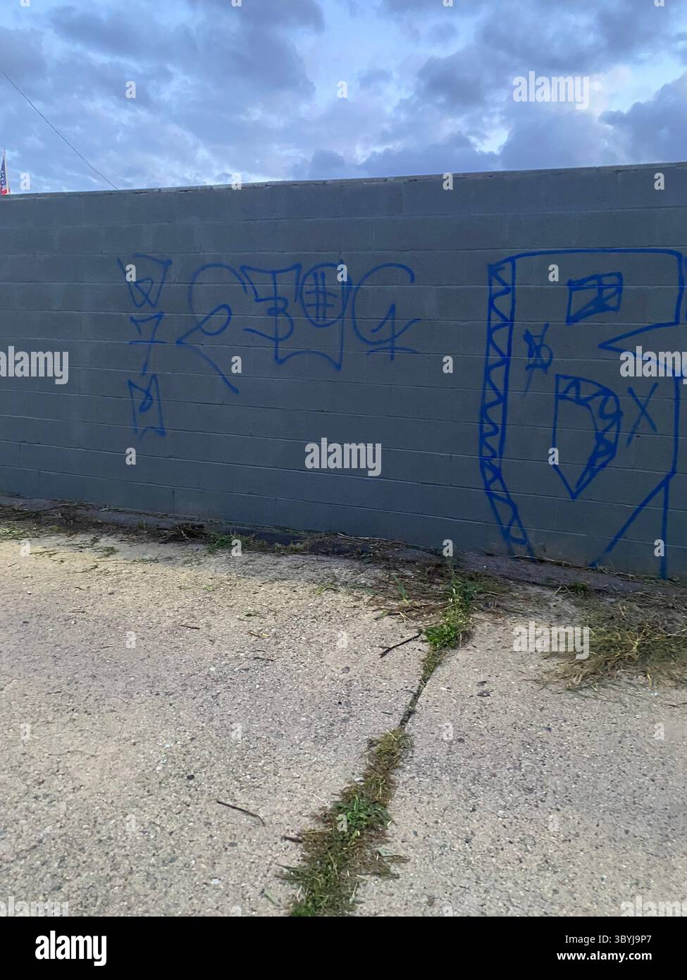 W7M ETGC "BACCWEST SCOREGANG" Graffiti Mural, Twins Auto Alley, Five Points, Detroit, MI (2024) 48-50ft in length and 6.5ft in height - Smartphone Captured Stock Image