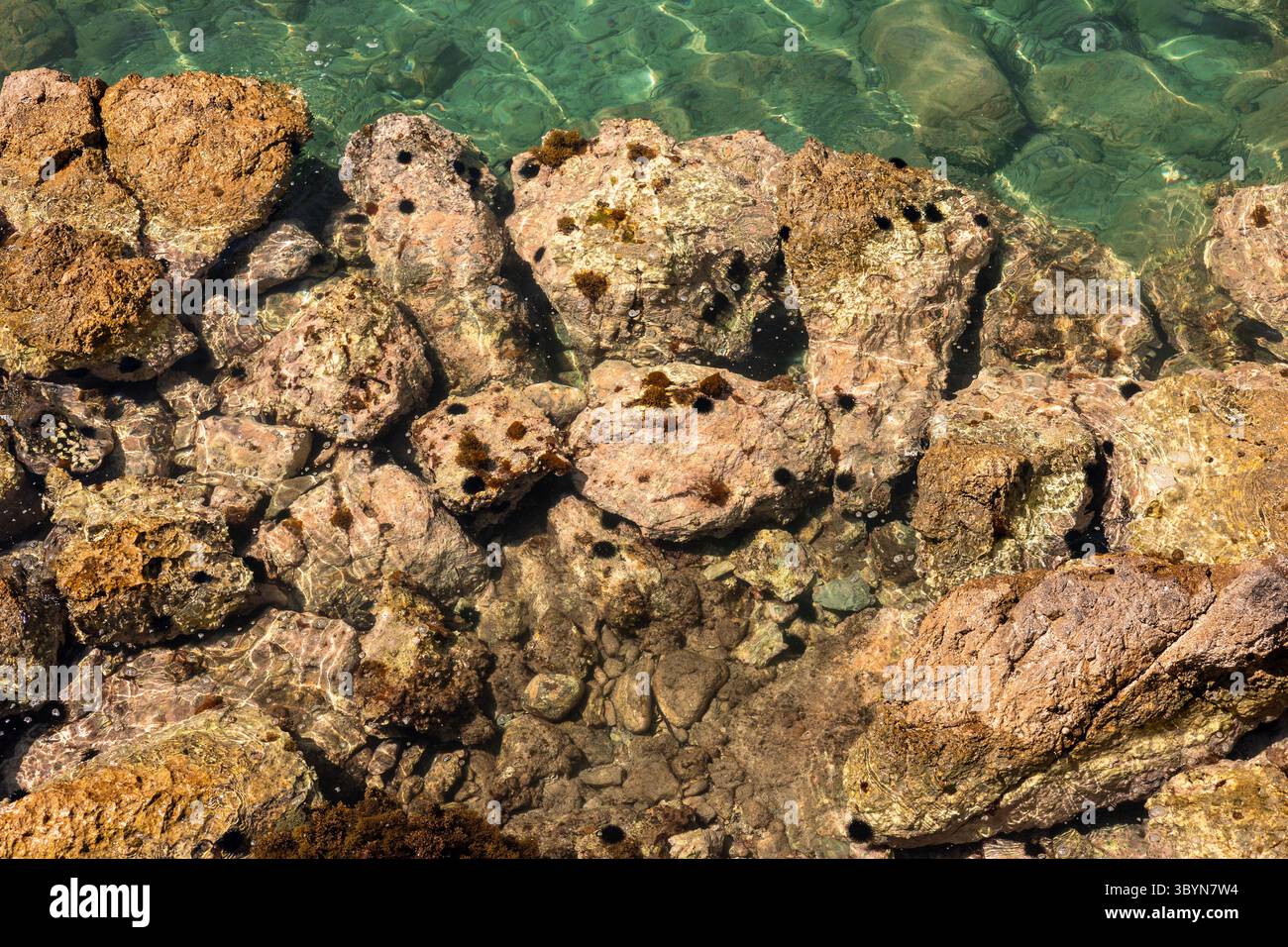 Marine Pure Rocks Clear turquoise water over rocky shoreline in Turkiye. Sunlight ...