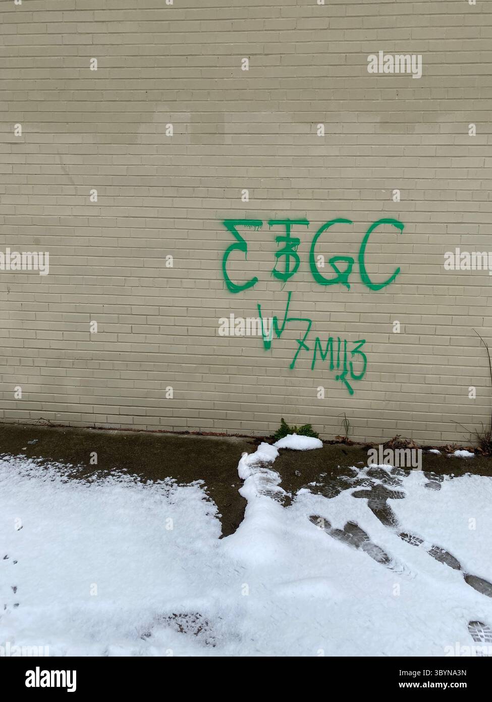 5PN is a Detroit-based alliance of small Crip cliques and tag crews in ...