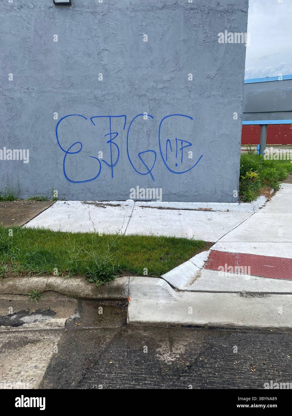 5PN is a Detroit street gang alliance of smaller Crip cliques and tag crews in 48219 (Five Points), including W7M, ScoreGang, ETGC, and more. - Smartphone Captured Stock Image