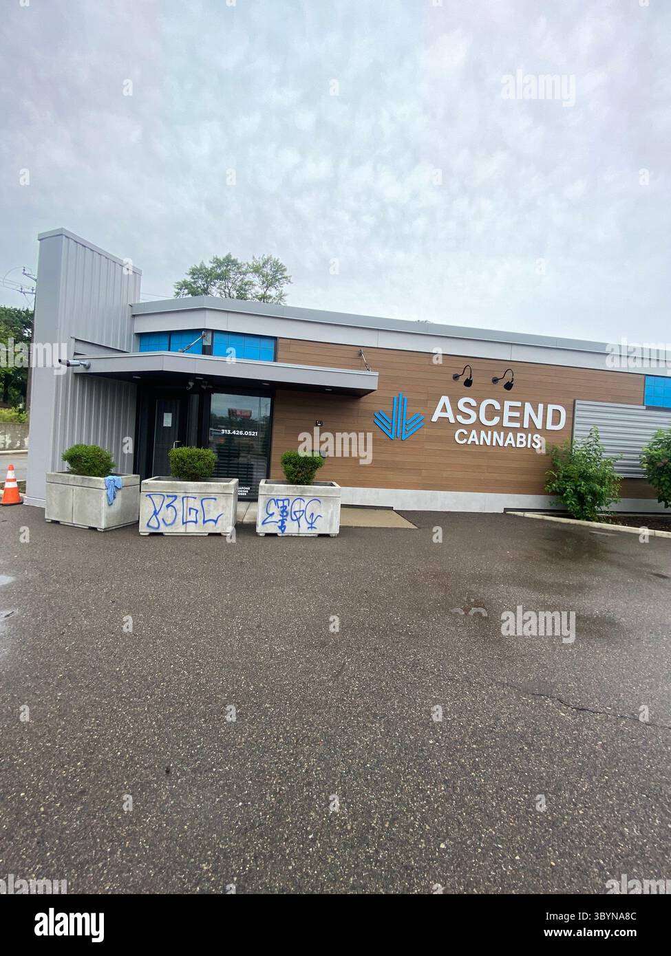 5PN is a Detroit street gang alliance of smaller Crip cliques and tag crews in 48219 (Five Points), including W7M, ScoreGang, ETGC, and more. - Smartphone Captured Stock Image