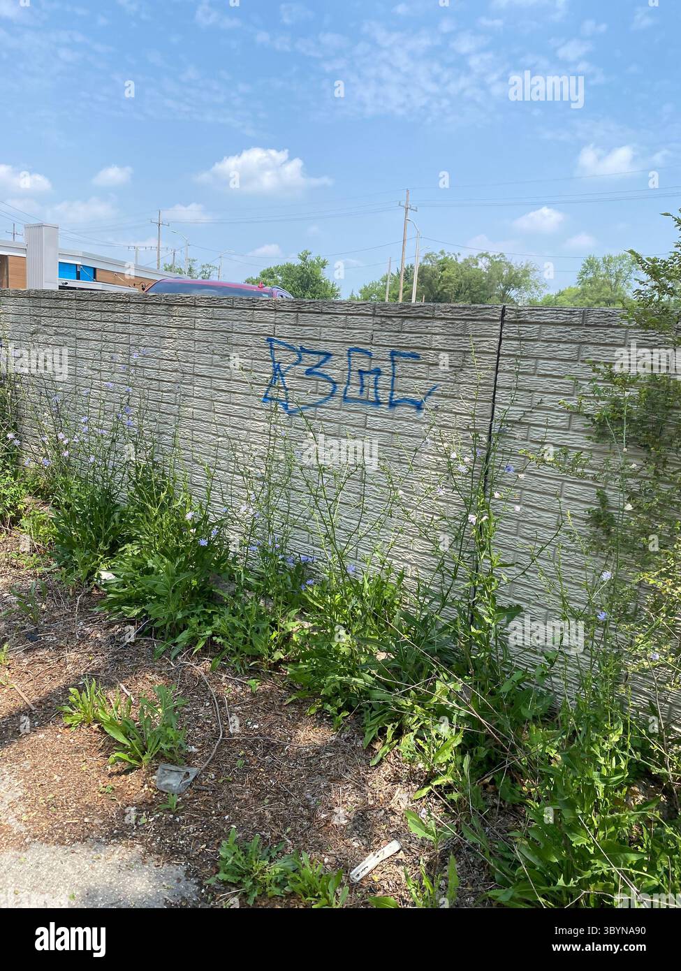 5PN is a Detroit street gang alliance of smaller Crip cliques and tag crews in 48219 (Five Points), including W7M, ScoreGang, ETGC, and more. - Smartphone Captured Stock Image