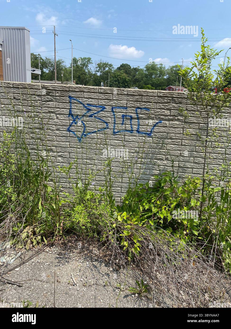 5PN is a Detroit street gang alliance of smaller Crip cliques and tag crews in 48219 (Five Points), including W7M, ScoreGang, ETGC, and more. - Smartphone Captured Stock Image