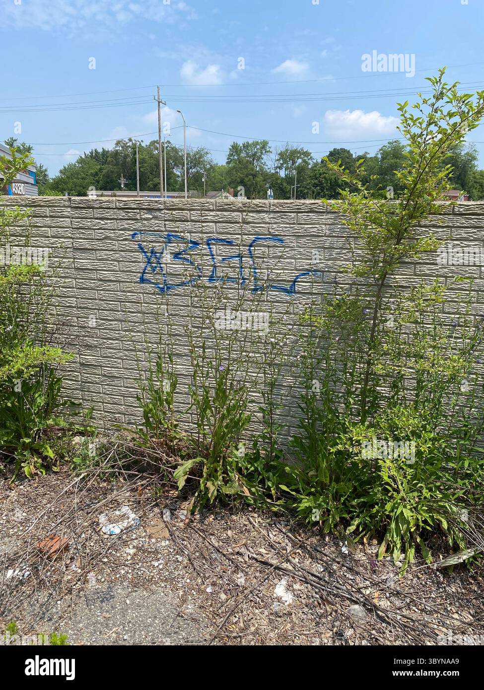 5PN is a Detroit street gang alliance of smaller Crip cliques and tag crews in 48219 (Five Points), including W7M, ScoreGang, ETGC, and more. - Smartphone Captured Stock Image