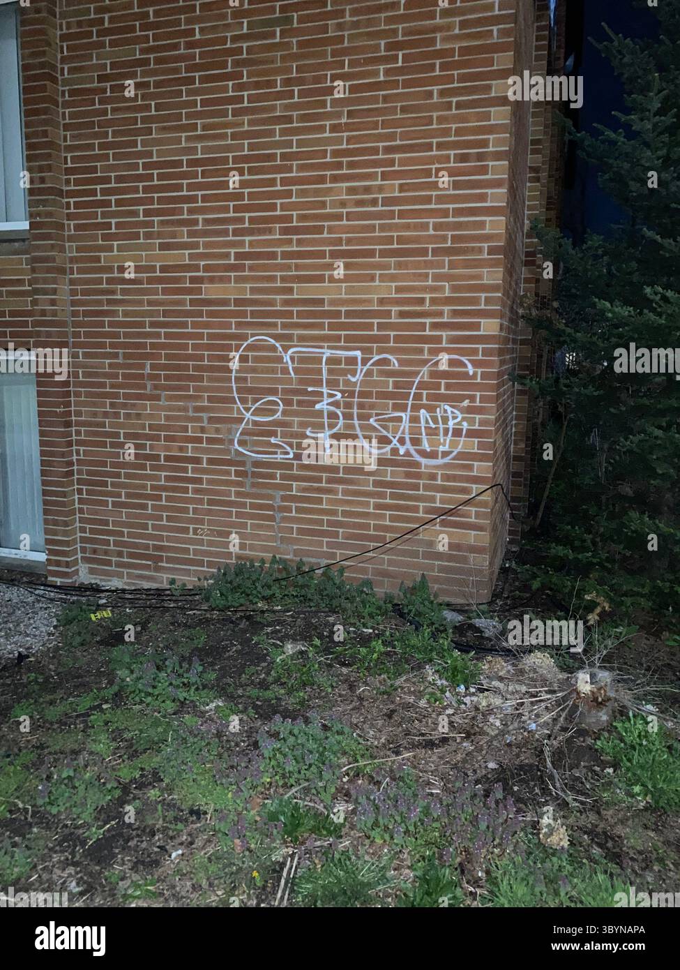 5PN is a Detroit street gang alliance of smaller Crip cliques and tag crews in 48219 (Five Points), including W7M, ScoreGang, ETGC, and more. - Smartphone Captured Stock Image