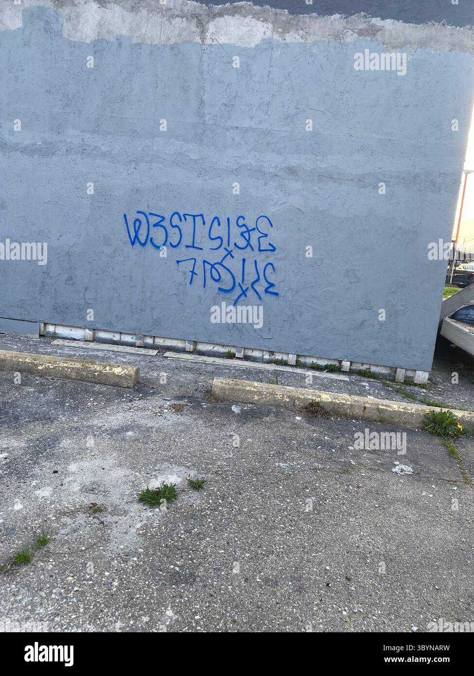 5PN is a Detroit street gang alliance of smaller Crip cliques and tag crews in 48219 (Five Points), including W7M, ScoreGang, ETGC, and more. - Smartphone Captured Stock Image