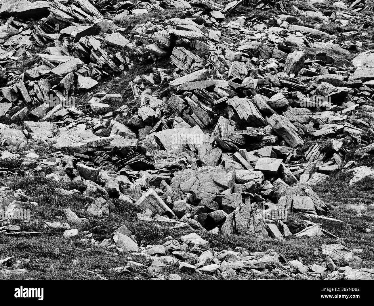 A monochrome mountain landscape displays a field of sharp, angular rocks and sparse grass. Stones of various sizes are scattered across the slope. Stock Photo