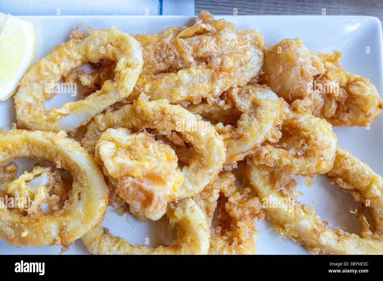 The Famous Rabas Fried Squid from Spain. Concept Regional names for ...