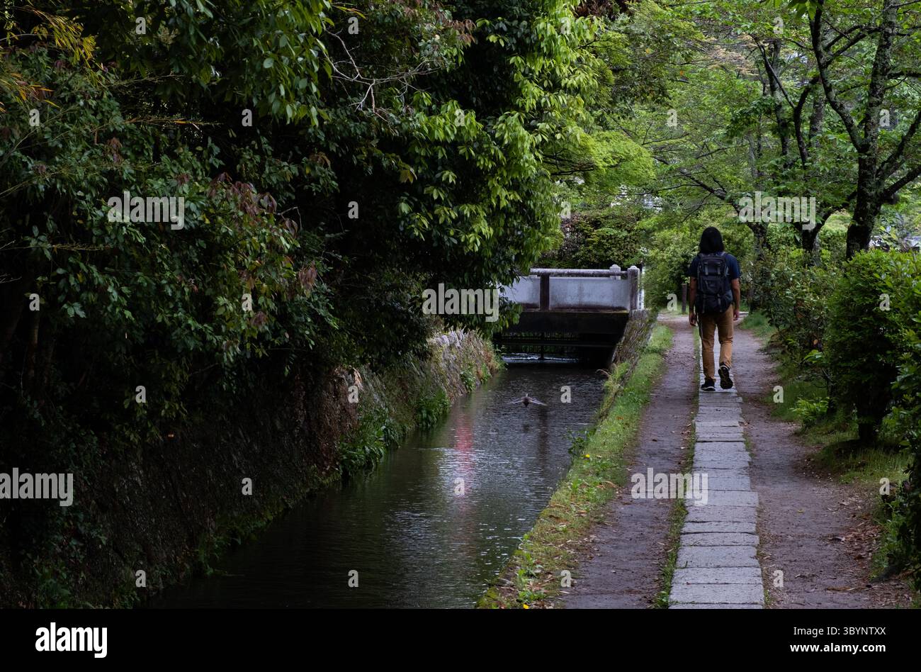 Tourist walking on a path near a canal and a bridge in a peaceful Japanese garden. Kyoto Japan Stock Photo