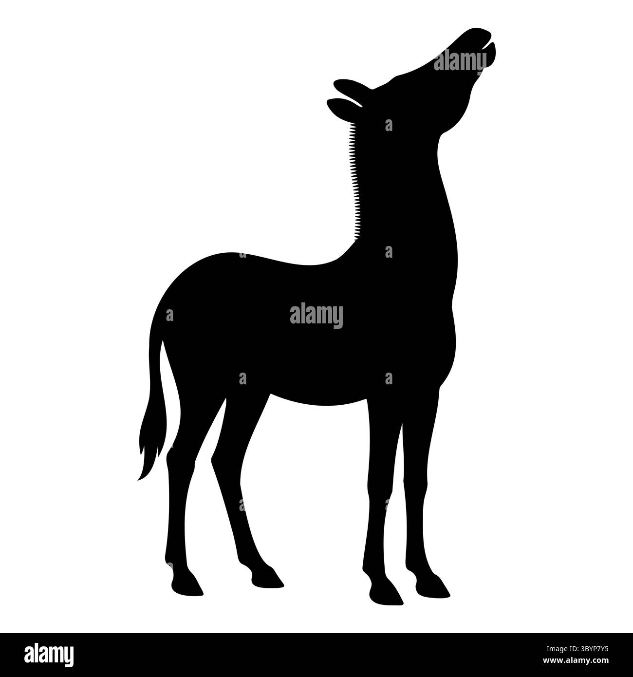 Zebra silhouette looking up view Stock Vector Image & Art - Alamy