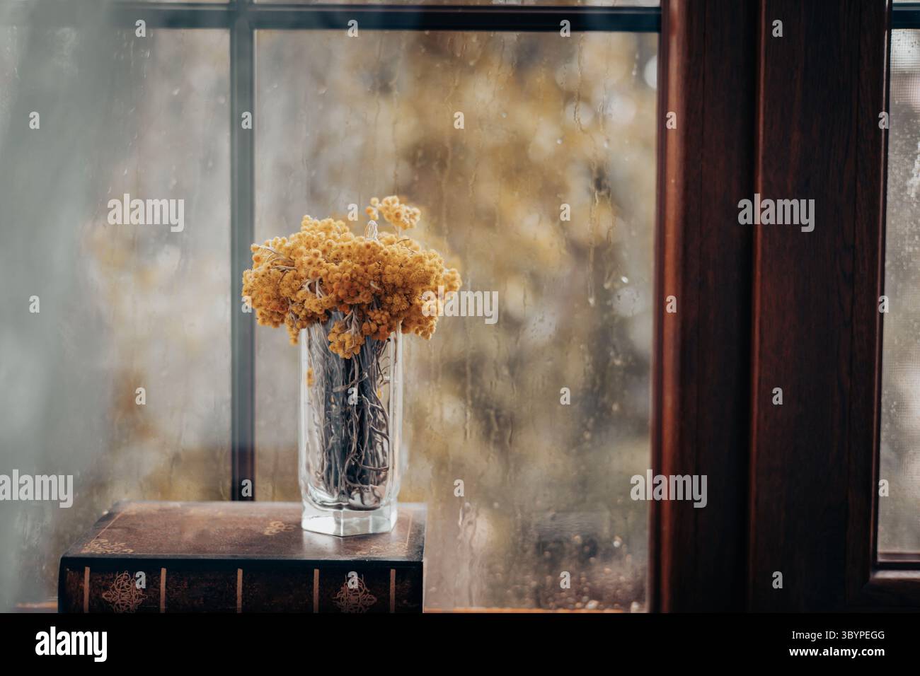 A clear glass vase filled with dried flowers sits by a rain-streaked ...