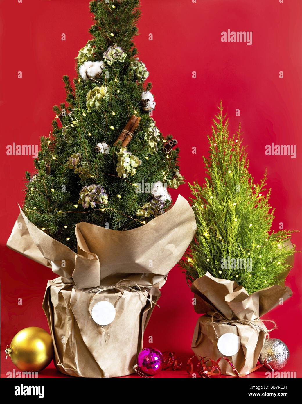 BIg and small christmas tree on red background Stock Photo