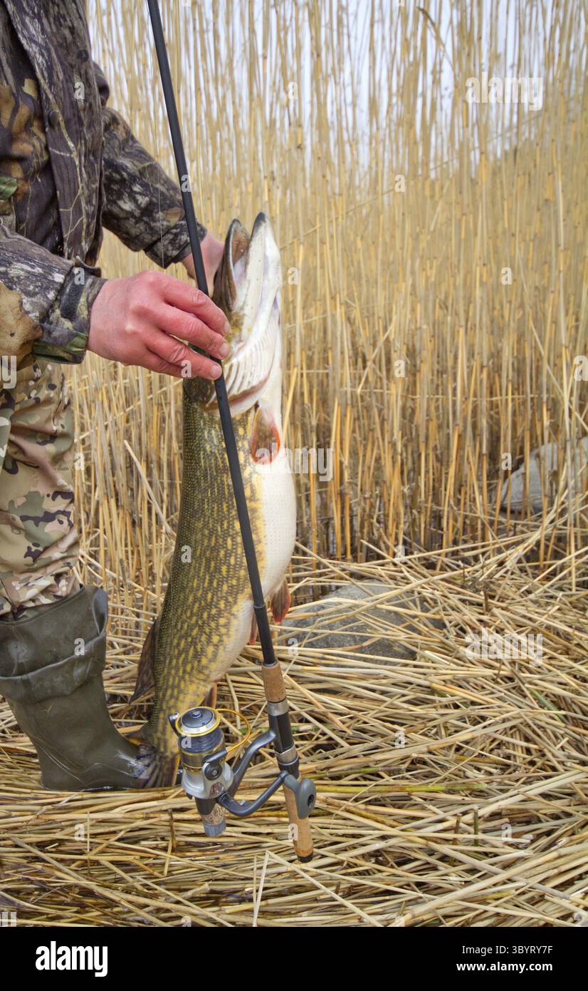 cane pole pike fishing Cane pole fishing hi-res stock photography and images