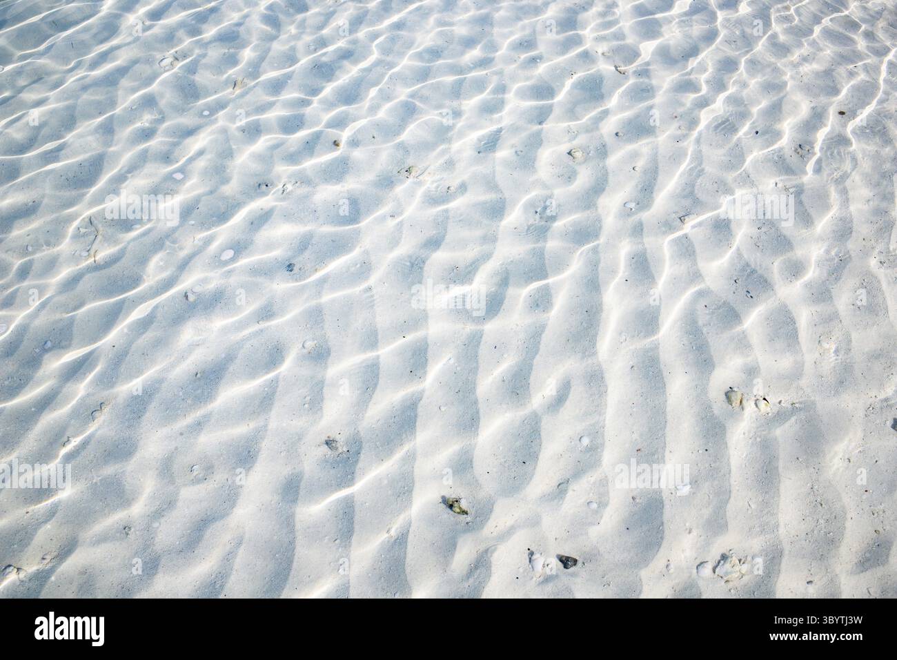 White sand texture in clear sea water Stock Photo