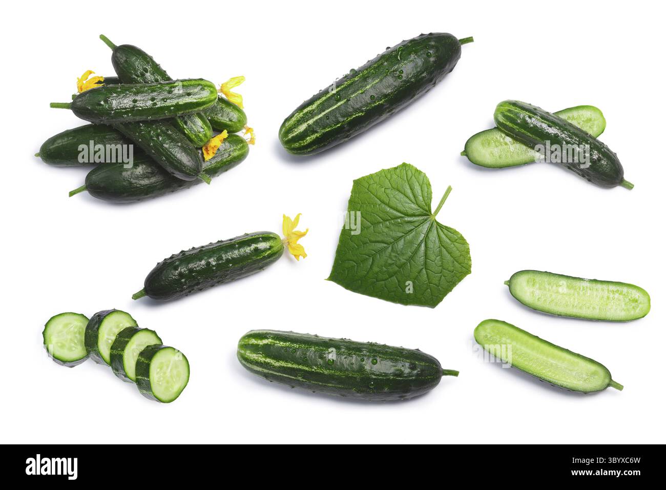 set-of-fresh-whole-and-halved-chopped-cucumbers-and-gherkins-leaves