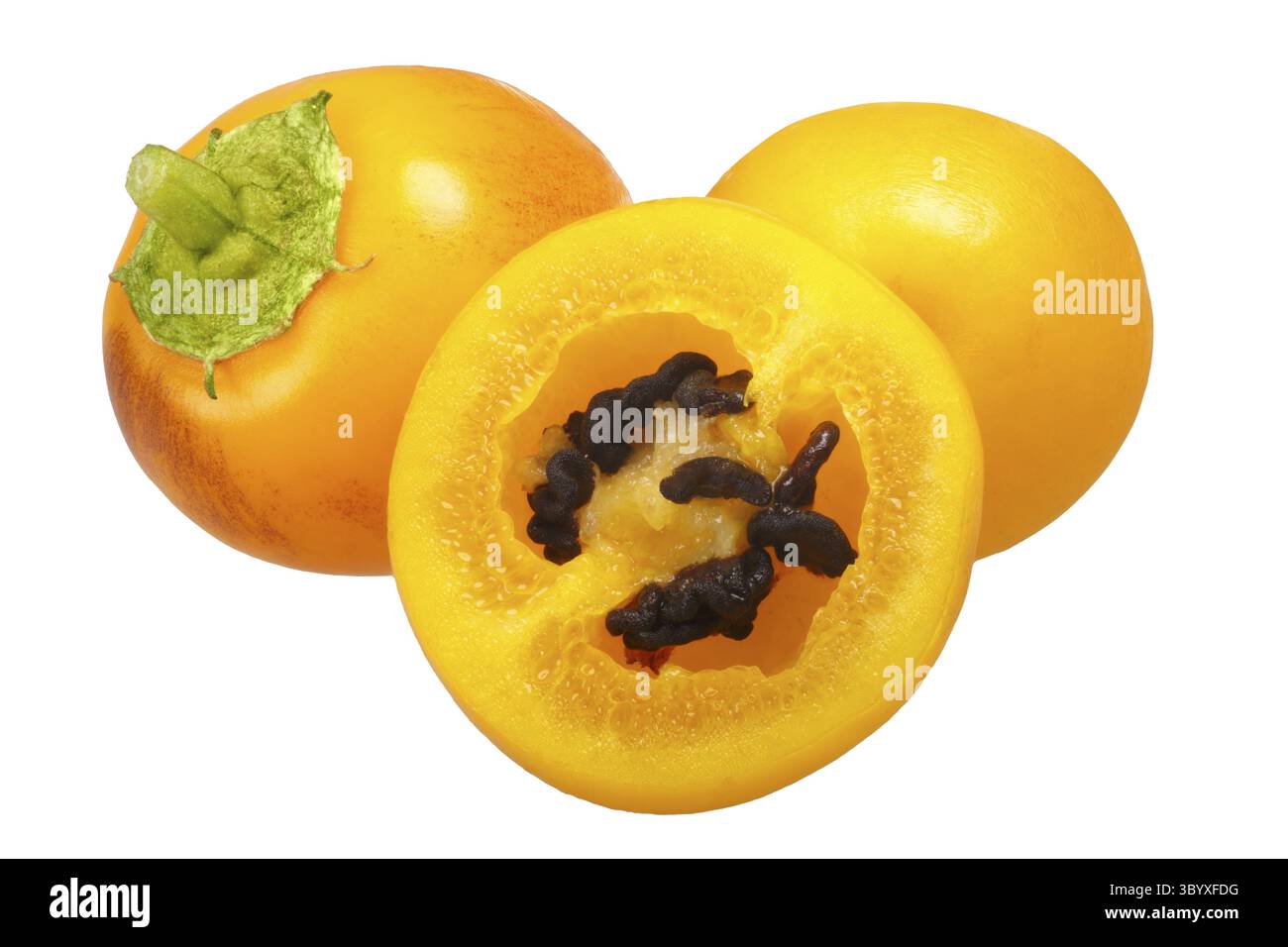 Rocoto Canario Amarillo Manzano (Capsicum pubescens) chile peppers ...