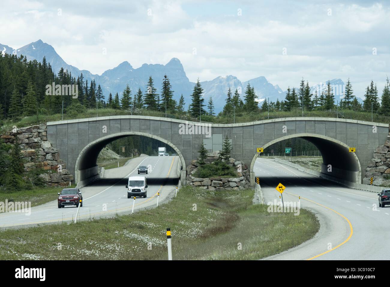 Canada wildlife bridge hi-res stock photography and images - Alamy