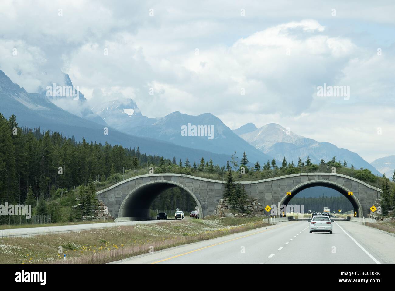 Wildlife Overpass on Trans-Canada Highway near Banff Stock Photo