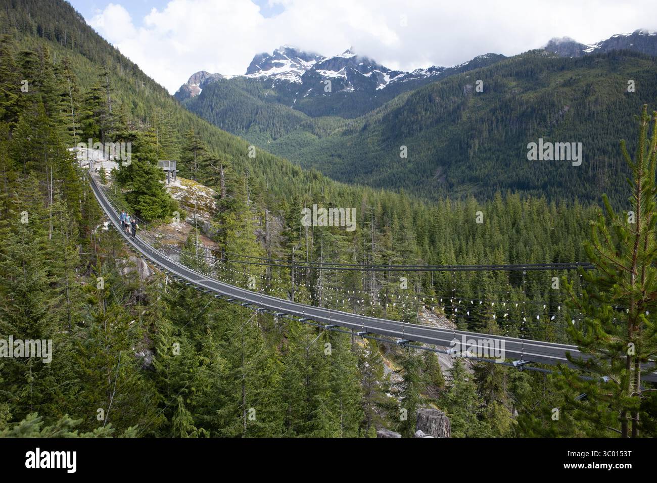 Sky Pilot Suspension Bridge, Sea to Sky Gondola, Squamish, British Columbia Stock Photo