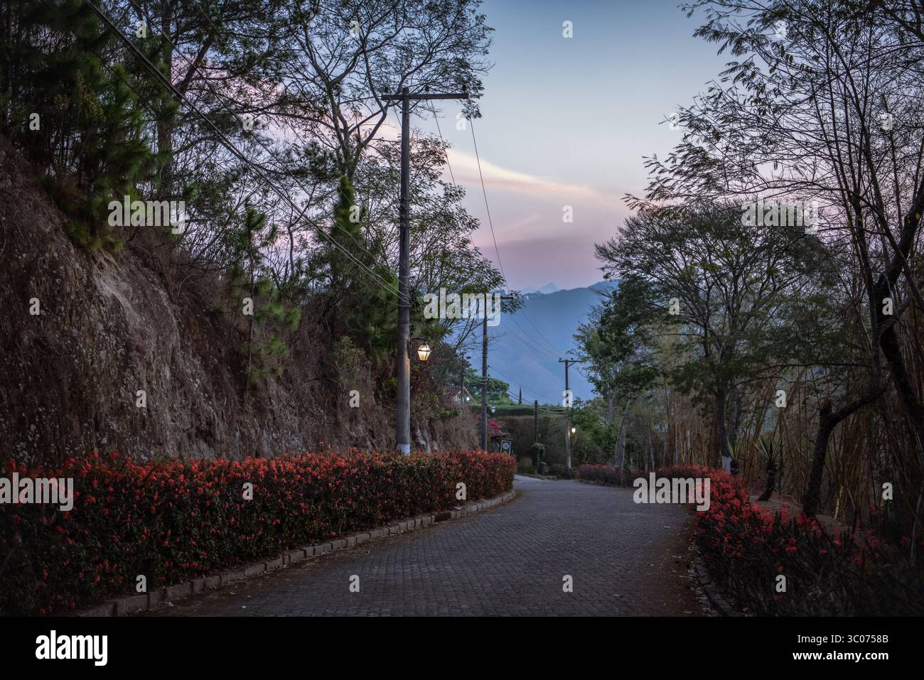 Twilight Road With Flowers and Mountains in Brazil Stock Photo